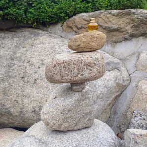 عطر ایو سن لورن پاریس | YSL Paris