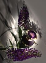 عطر بولگاری اشلما | Bvlgari Ashlemah