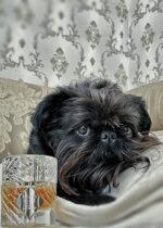 عطر ادکلن بای کیلیان آنجلز شیر | By Kilian Angels’ Share 100ml2