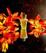 عطر کازاموراتی زرجف-زرژاف داما بیانکا | Xerjoff Casamorati Dama Bianca