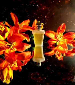 عطر کازاموراتی زرجف-زرژاف داما بیانکا | Xerjoff Casamorati Dama Bianca