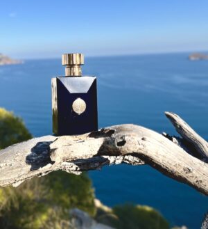 عطر ورساچه دیلان بلو-آبی | Versace Dylan Blue