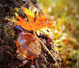 عطر سی کی آبسشن مردانه | CK Obsession EDT