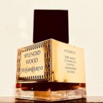 عطر ایو سن لورن اسپلندید وود | YSL Splendid Wood