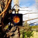 تستر اورجینال ادکلن ایو سن لورن بل د اوپیوم اکلت ادوپرفیوم | YSL Belle d’Opium Éclat EDP Tester