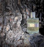 عطر دیور او ساواج ادو تویلت | Dior Eau Sauvage