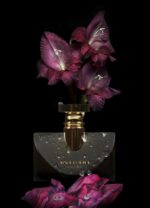 تستر اورجینال عطر بولگاری جاسمین نویر | Bvlgari Jasmin Noir EDP Tester