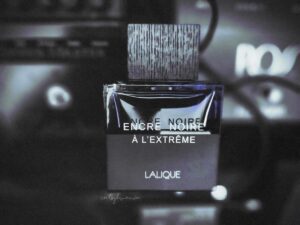 تستر اورجینال عطر لالیک انکر نویر ای ال اکستریم | Lalique Encre Noire A L Extreme