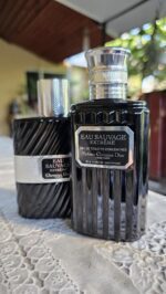 عطر ادکلن دیور او ساواج اکستریم | Dior Eau Sauvage Extreme4