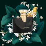 عطر بولگاری اسپلندیدا جاسمین نویر | Bvlgari Splendida Jasmin Noir