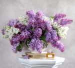 عطر میس دیور ادو پرفیوم | Dior Miss Dior EDP