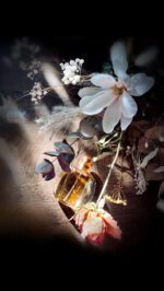 عطر دیور دان زنانه | Dior Dune for Women