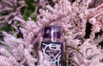 تستر اورجینال عطر لالیک آمیتیس اکلت | Lalique Amethyst Eclat