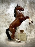 تستر اورجینال عطر لالیک پور هوم ایکوز(کله اسبی) | Lalique Pour Homme Equus Tester