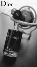 عطر ادکلن دیور ساواج-ساوج | Dior Sauvage 60ml4