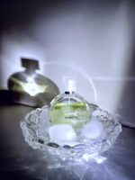 عطر ادکلن شنل چنس او فرش-سبز | Chanel Chance Eau Fraiche4