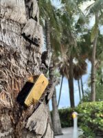 عطر ادکلن پاکو رابان وان میلیون | Paco Rabanne 1 Million3