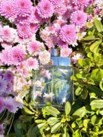 عطر ادکلن مونت بلنک ایندیویجوال مردانه | Mont Blanc Individuel