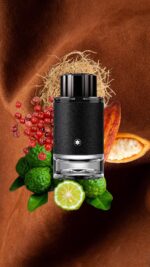 عطر ادکلن مونت بلنک اکسپلورر | Mont Blanc Explorer