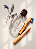 عطر سی کی آبسشن مردانه | CK Obsession EDT