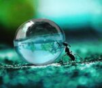 تستر اورجینال عطر بولگاری آکوا پور هوم | Bvlgari Aqva Pour Homme Tester