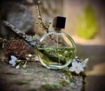 عطر شنل چنس او فرش ادو پرفیوم | Chanel Chance Eau Fraiche Eau de Parfum