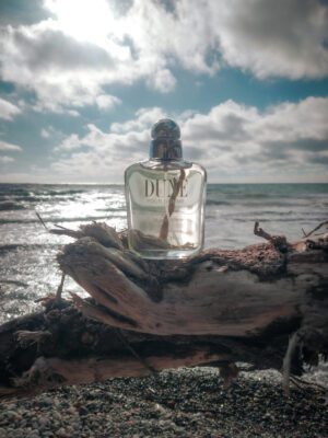 عطر ادکلن دیور دان مردانه | Dior Dune Pour Homme2