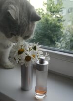 عطر ادکلن سی کی کنترادیکشن زنانه | CK Contradiction4