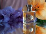 عطر ورساچه پور فم | Versace Pour Femme