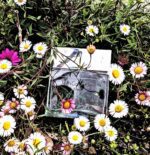 عطر ادکلن سی کی تروث مردانه | CK Truth