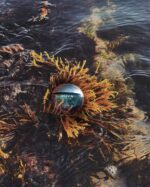 عطر بولگاری آکوا پور هوم | Bvlgari Aqva Pour Homme