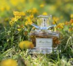 عطر دیور میس دیور ابسولوتلی بلومینگ | Dior Miss Dior Absolutely Blooming