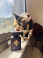 عطر ادکلن اینیشیو ساید افکت | Initio Side Effect3