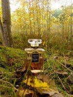 عطر ادکلن شنل کوکو ادوپرفیوم | Chanel Coco EDP3