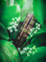 عطر زرجف-زرژاف الکساندریا 2 | Xerjoff Alexandria II