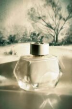 عطر ادکلن مونت بلنک سیگنچر | Mont Blanc Signature