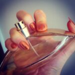 عطر ادکلن سی کی ایفوریا گلد زنانه | CK Euphoria Gold