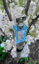 عطر ادکلن کلوین کلین اترنیتی ایر زنانه | Calvin Klein Eternity Air For Women3