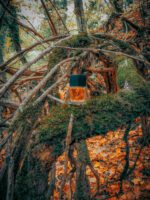 عطر ایو سن لورن ام7 | Yves Saint Laurent M7