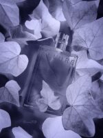 عطر ادکلن شنل الور زنانه| Chanel Allure2