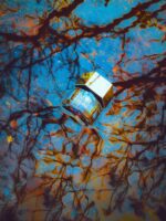 عطر ایو سن لورن لهوم | YSL L’Homme