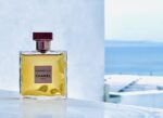 عطر ادکلن شنل گابریل | Chanel Gabrielle3