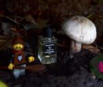 عطر ادکلن شنل اگویست | Chanel Egoiste4