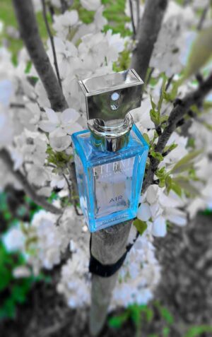 عطر ادکلن کلوین کلین اترنیتی ایر زنانه | Calvin Klein Eternity Air For Women2