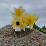 عطر ادکلن دیور گریس | Dior Gris2