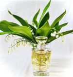 عطر ادکلن دیور دیوریسیمو | Dior Diorissimo EDT