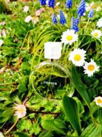 عطر شنل چنس او فرش-سبز | Chanel Chance Eau Fraiche 150ml