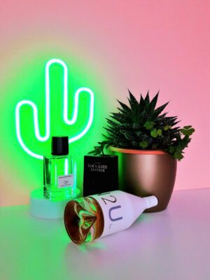 عطر ادکلن سی کی این تو یو زنانه | CK IN2U